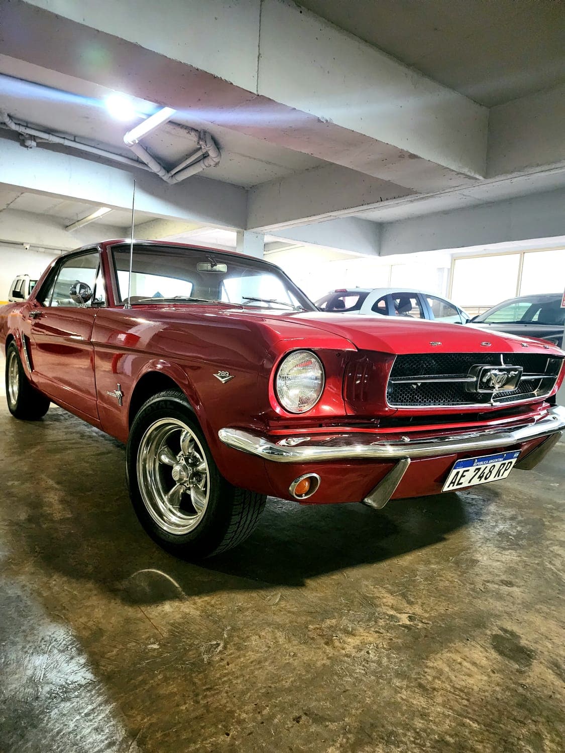 Ford Mustang-image